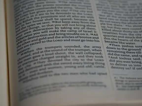 Hejgo Kazino Atbalsts